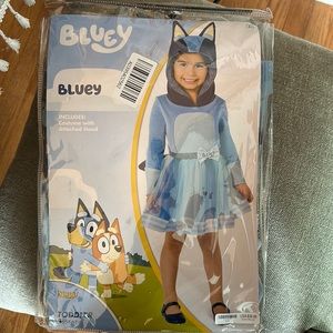 Spirit Halloween bluey costume